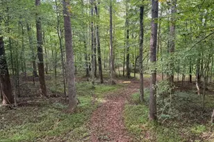 5400 Valley Wood Rd, Hillsborough, NC 27278 - Photo 71