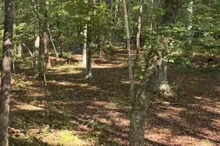 5400 Valley Wood Rd, Hillsborough, NC 27278 - Photo 77