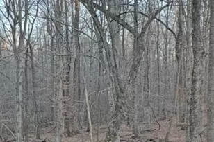 5400 Valley Wood Rd, Hillsborough, NC 27278 - Photo 75
