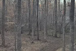 5400 Valley Wood Rd, Hillsborough, NC 27278 - Photo 75