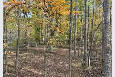 5400 Valley Wood Road, Hillsborough, NC 27278 - Photo 69