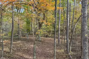 5400 Valley Wood Rd, Hillsborough, NC 27278 - Photo 69