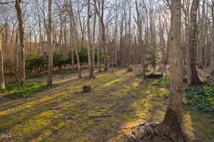 102 Blackford Ct, Durham, NC 27712 - Photo 13