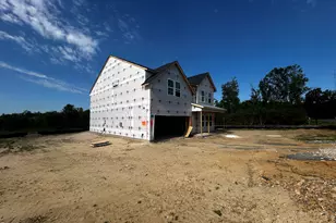 66 Thomas Trl, Lillington, NC 27546 - Photo 3