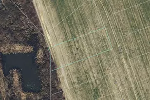 154 Thomas Trl, Lillington, NC 27546 - Photo 11