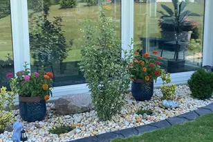 1428 White Admiral St, Fuquay Varina, NC 27526 - Photo 41