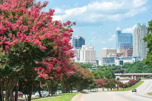 720 Orch Vis Cir, Raleigh, NC 27606 - Photo 31