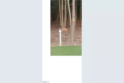 452 Brodie Rose Landing Way, Smithfield, NC 27577 - Photo 77