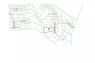 452 Brodie Rose Landing Way, Smithfield, NC 27577 - Photo 81