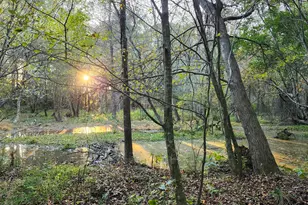 452 Brodie Rose Landing Way, Smithfield, NC 27577 - Photo 57