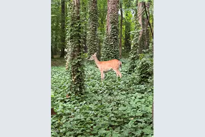 3116 Avondale Court, Raleigh, NC 27613 - Photo 45