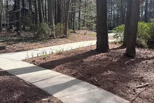 3116 Avondale Ct, Raleigh, NC 27613 - Photo 43