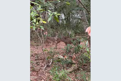 3116 Avondale Court, Raleigh, NC 27613 - Photo 37