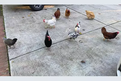 107 Larkwood Lane, Cary, NC 27518 - Photo 45