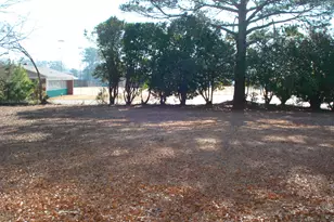 202 N Wayne Ave, Dunn, NC 28334 - Photo 9