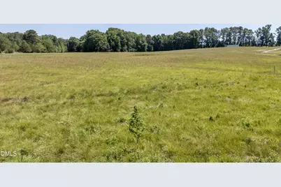 263 Gilliland Road, Siler City, NC 27344 - Photo 3