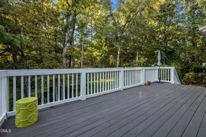 109 San Juan Drive, Chapel Hill, NC 27514 - Photo 51