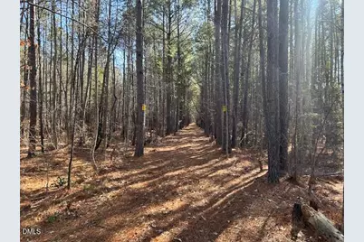 420 John Headen Road, Moncure, NC 27559 - Photo 5