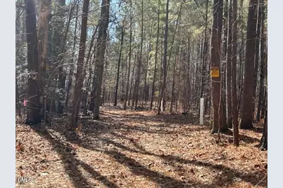 420 John Headen Road, Moncure, NC 27559 - Photo 11