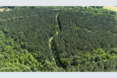 682 Wolf Pit Road, Oxford, NC 27565 - Photo 15