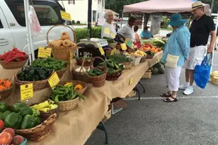 481 White Mulberry Ln, Holly Springs, NC 27540 - Photo 15