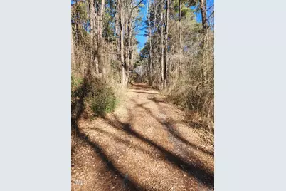 174 Solomon Worley Drive, Moncure, NC 27559 - Photo 1