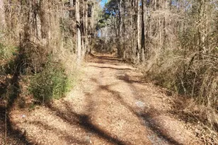 174 Solomon Worley Dr, Moncure, NC 27559 - Photo 1