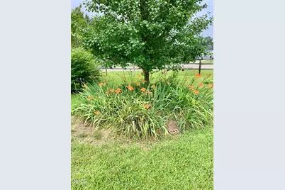 100 Blackberry Creek Drive, Willow Springs, NC 27592 - Photo 39