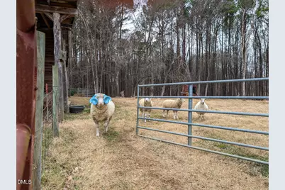 104 Buckeye Lane, Chapel Hill, NC 27516 - Photo 37