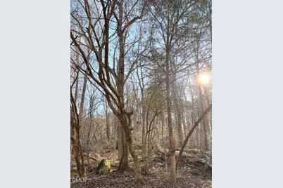 578 Nicks Bend W, Pittsboro, NC 27312 - Photo 7