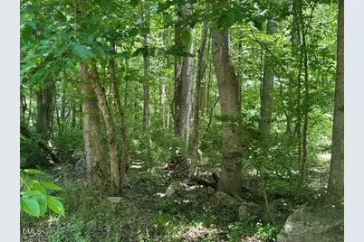 578 Nicks Bend W, Pittsboro, NC 27312 - Photo 5