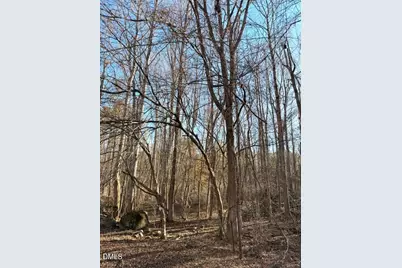 578 Nicks Bend W, Pittsboro, NC 27312 - Photo 3