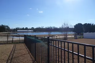 43 Molly Mac Ln, Angier, NC 27501 - Photo 29