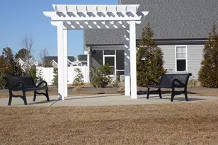 43 Molly Mac Ln, Angier, NC 27501 - Photo 35