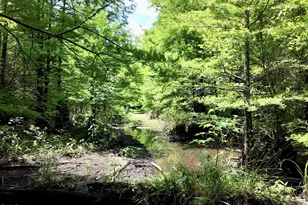 768 Bethesda Church Rd, Fairmont, NC 28340 - Photo 49