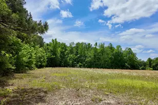 768 Bethesda Church Rd, Fairmont, NC 28340 - Photo 47