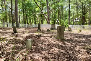 768 Bethesda Church Rd, Fairmont, NC 28340 - Photo 45