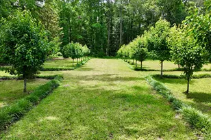 768 Bethesda Church Rd, Fairmont, NC 28340 - Photo 63