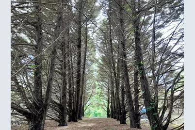 768 Bethesda Church Road, Fairmont, NC 28340 - Photo 51