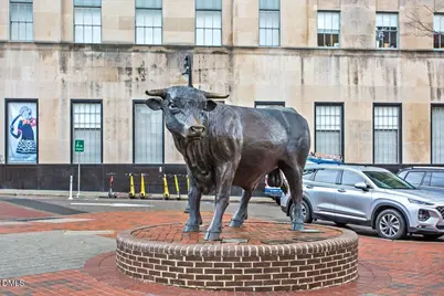 704 Big Twig Lane, Durham, NC 27703 - Photo 15