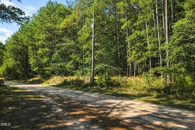 00-00 Deer Trail, Raeford, NC 28376 - Photo 3