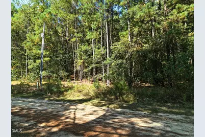 00-00 Deer Trail, Raeford, NC 28376 - Photo 13