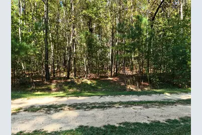 00-00 Deer Trail, Raeford, NC 28376 - Photo 9