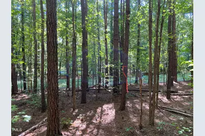 155 Collins Road, Norlina, NC 27563 - Photo 13