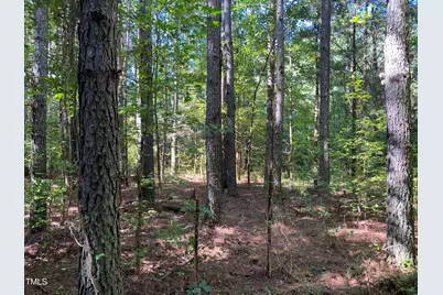 155 Collins Road, Norlina, NC 27563 - Photo 11