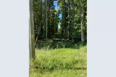 155 Collins Road, Norlina, NC 27563 - Photo 3