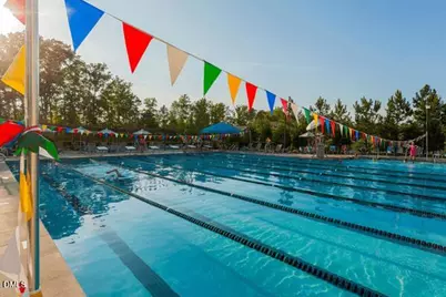 132 Deardom Way, Chapel Hill, NC 27516 - Photo 33