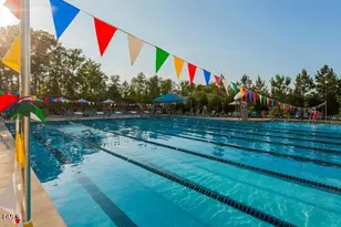 132 Deardom Wy, Chapel Hill, NC 27516 - Photo 33