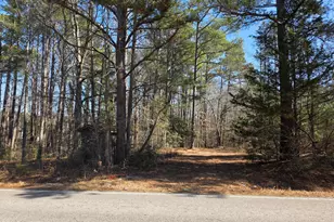 4113 Pearl Rd, Raleigh, NC 27610 - Photo 1