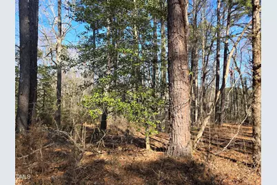 4113 Pearl Road, Raleigh, NC 27610 - Photo 5